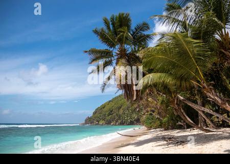 Un lussureggiante promontorio verde con alberi da cocco e sabbia bianca incontra l'acqua turchese sull'isola di Mahe, nelle Seychelles, sotto un cielo blu brillante. Foto Stock