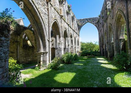 Francia. Brittany. Cotes d'Armor. Beauport Abbey (comune di Paimpol). Navata della chiesa abbaziale (XIII secolo) Foto Stock