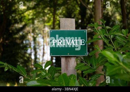 Insegna verde di proprietà privata su un palo di legno circondato da lussureggianti piante nel bosco. Foto Stock