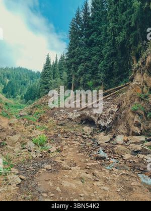 Foto verticale di una lussureggiante foresta verde con un ruscello che scorre e una zona di neve che rimane in estate in una giornata limpida. Foto Stock