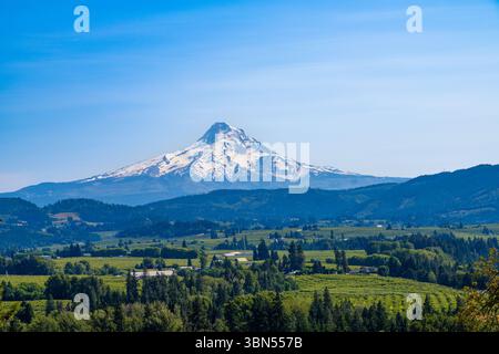 Mount Hood, Oregon, vista dalla valle del fiume Hood, famosa per i suoi frutteti, i vigneti e le viste panoramiche Foto Stock