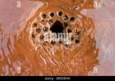 Primo piano di un vecchio barile di ferro arrugginito riempito d'acqua e colorato. una fossa per le acque reflue. Foto Stock