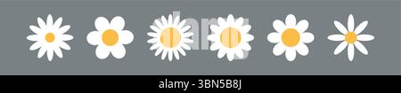 Icona vettoriale camomilla di fiori. Set di icone floreali a molla retrò bianco in camomilla Cartoon Illustrazione Vettoriale