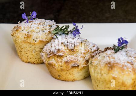 Tre muffin al rosmarino appena sfornati, spolverati con zucchero a velo e decorati con fiori di rosmarino. Foto Stock