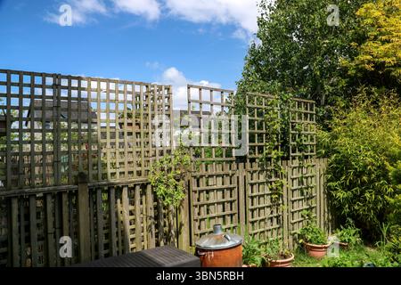 Angolo di un giardino urbano con piante e attrezzature da giardino in una mattinata d'estate illuminata dal sole Foto Stock