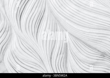 elegante sfondo in marmo bianco. Foto Stock