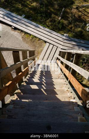 Scale in legno che conducono giù dalla torre di osservazione degli uccelli in natura Foto Stock