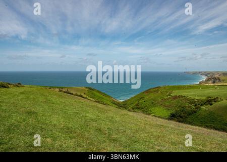 Costa della Cornovaglia settentrionale a Port Isaac, Regno Unito Foto Stock