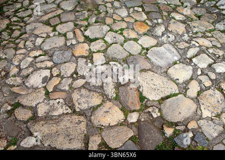 Vecchia strada lastricata nel villaggio francese di Saint Emion Foto Stock