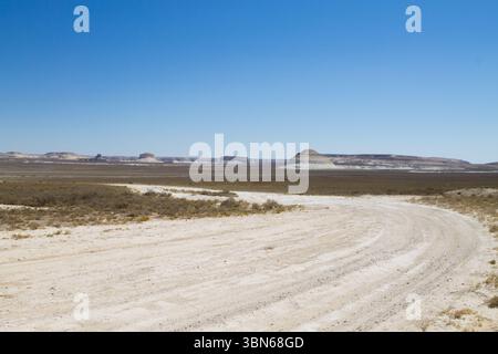 Splendido paesaggio di Mangystau, Kazakistan. Vista sulla valle di Bozzhira. Panorama asiatico Foto Stock