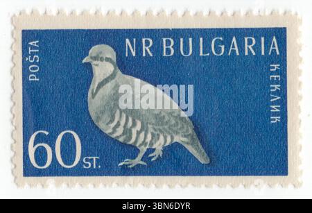 BULGARIA — 1959 giugno 30: Un francobollo stotinki blu profondo e grigio del 60 raffigurante Rock Partridge. Alectoris Graeca è un uccellino della famiglia dei fagiani, Phasianidae, dell'ordine Galliformes (uccelli gallinacei). È originaria dell'Europa meridionale ed è strettamente imparentata e molto simile al suo equivalente orientale, la percada chukar, A. chukar Foto Stock