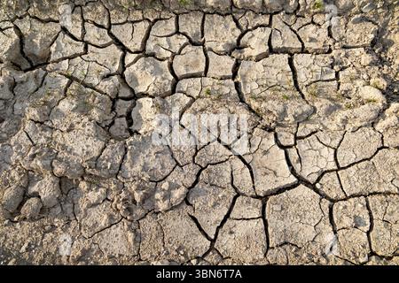 Terra secca e incrinata che mostra gli effetti della siccità. Primo piano di una superficie del suolo arroccata e incrinata che simboleggia la siccità estrema, il cambiamento climatico e l'ambiente Foto Stock