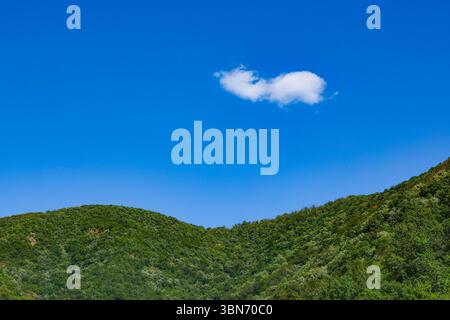 Immagine di una nuvola bianca solitaria sopra la verde foresta di montagna. Paesaggio forestale estivo. Nuvola bianca sul cielo blu Foto Stock