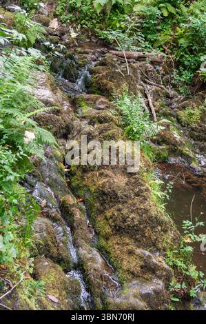 Un flusso d'acqua scorre lungo una collina rocciosa. L'acqua è torbida e le rocce sono coperte di muschio. La scena è tranquilla e serena, con il suono Foto Stock