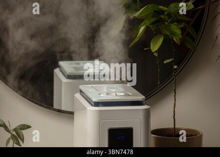 Diffusore di olio aromatico sul tavolo a casa, vapore dall'umidificatore d'aria, pianta domestica sullo sfondo. Tecnologia a ultrasuoni, aumento dell'umidità dell'aria. Foto Stock