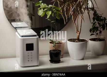 Diffusore di olio aromatico sul tavolo a casa, vapore dall'umidificatore d'aria, pianta domestica sullo sfondo. Tecnologia a ultrasuoni, aumento dell'umidità dell'aria. Foto Stock