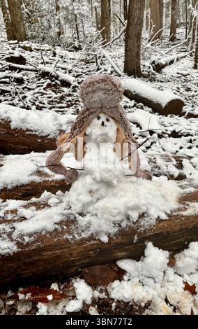 Un bizzarro mini pupazzo di neve che indossa un caldo cappello peloso su un tronco innevato durante l'inverno Foto Stock
