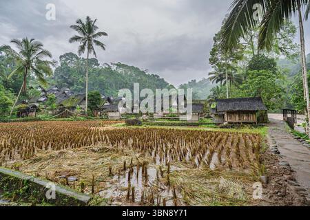 Vista panoramica del villaggio tradizionale Kampung Naga e dei campi sotto la pioggia, Tasikmalaya, Giava occidentale, Indonesia Foto Stock