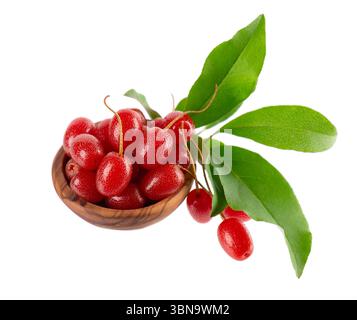 Elaeagnus multiflora isolato su sfondo bianco. Elaeagnus di ciliegia o ciliegia e silverberry in una ciotola di legno. Goumi o gumi Foto Stock