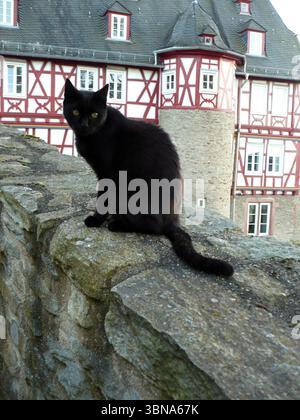 Idstein, Germania, Un gatto nero con gli occhi gialli impressionanti è arroccato su un muro di pietra, che guarda direttamente la telecamera. La pelliccia del gatto appare leggermente più scura intorno al viso e al petto. Il muro di pietra, che fa parte di una più grande struttura in pietra, si trova di fronte ad un edificio con una facciata in legno rosso e bianco. L'edificio ha finestre multiple e una torretta o torre prominente. Il cielo è di colore azzurro o bianco. L'occhio di un artista e la sua immaginazione Foto Stock
