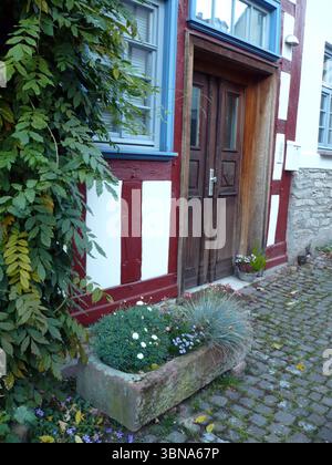 Idstein, Germania, Un'affascinante strada acciottolata di fronte ad una pittoresca casa. La casa presenta una vibrante facciata rossa e bianca a metà legno, con una finestra blu e una porta di legno. Di fronte alla casa si trova una piantatrice di pietra piena di una varietà di fiori colorati, tra cui fiori bianchi, viola e blu. Una piccola cassetta postale bianca, possibilmente in metallo, è fissata al muro di pietra accanto alla porta. Un piccolo oggetto di colore scuro, forse un cestino, è visibile sul lato destro dell'immagine. La strada acciottolata è costeggiata da lussureggianti alberi e cespugli verdi, creando un ambiente sereno e invitante Foto Stock