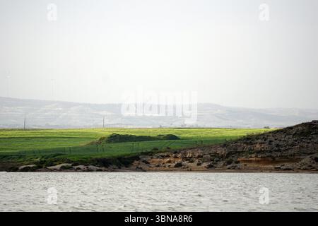 Cipro, Lago salato di Larnaca, Un paesaggio tranquillo con un corpo d'acqua in primo piano. L'acqua è relativamente calma, con lievi increspature. Sul lato sinistro si estende un rigoglioso campo verde, con alcuni alberi sparsi ovunque. Nel terreno centrale è visibile un campo di colture, possibilmente grano o orzo. Sul lato destro sorge una collina rocciosa, con alcuni alberi e cespugli che punteggiano il paesaggio. In lontananza, è visibile un campo nebuloso, con turbine eoliche visibili sul lato sinistro. Il cielo è grigio chiaro o bianco, e la tavolozza dei colori complessiva è silenziata, con sfumature di verde, marrone e grigio Foto Stock