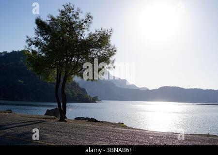 Un paesaggio sereno caratterizzato da un grande specchio d'acqua, probabilmente un lago, con un albero in piedi in modo prominente sul lato sinistro. I rami dell'albero si estendono sull'acqua, creando un baldacchino naturale. L'acqua riflette il cielo azzurro limpido, luminoso e soleggiato, con il sole posizionato in alto nel cielo. Il lago è circondato da montagne, che sono per lo più di verde scuro e sembrano essere ricoperte di vegetazione. Le montagne si stagliano contro il cielo luminoso. Il primo piano è costituito da un sentiero di ghiaia o pietra, e la scena generale è tranquilla e pittoresca. Didascalia a forma di occhio e immaginazione di un artista Foto Stock