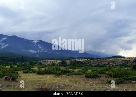 Un tranquillo paesaggio montano sotto un cielo nuvoloso. Le montagne, ricoperte da un mix di vegetazione verde e marrone, dominano la scena. Il primo piano è un campo di erba secca e marrone chiaro con rocce sparse e arbusti. Il terreno centrale presenta un mix di vegetazione verde e marrone, con alcuni alberi sparsi. Lo sfondo è dominato dalle maestose montagne, con le loro vette parzialmente oscurate dalle nuvole. Il cielo è azzurro con alcune nuvole bianche. Bansko è una pittoresca cittadina della Bulgaria sud-occidentale, situata ai piedi del Pirin Moun Foto Stock