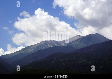 Una maestosa catena montuosa sotto un cielo blu limpido punteggiato da soffici nuvole bianche. Le montagne, con le loro aspre vette e valli, sono coperte da un mix di vegetazione verde e marrone, suggerendo una varietà di vita vegetale. Le montagne sono principalmente ricoperte di conifere verde scuro, con alcune aree che mostrano macchie di verde chiaro o marrone. La prospettiva dell'immagine è da un'angolazione bassa, guardando verso l'alto le montagne torreggianti, creando un senso di grandezza e di scala. Il cielo è un blu vibrante, che contrasta splendidamente con le sfumature verdi e marroni delle montagne. L'occhio di un artista e.. Foto Stock