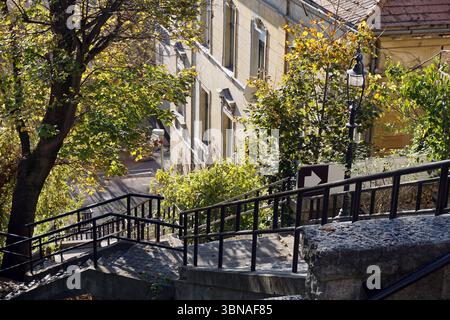 Budapest, Ungheria: L'incantevole Perla del Danubio, la collina del castello di Budapest. Una tranquilla scena urbana caratterizzata da una serie di scale in cemento con ringhiere in metallo nero che conducono giù verso una strada. Le scale sono fiancheggiate da alberi con foglie gialle e verdi vibranti, suggerendo che potrebbe essere autunno. Un lampione si trova sul lato destro delle scale e sullo sfondo è visibile un edificio con una facciata beige o crema chiaro. L'edificio ha finestre multiple e un tetto visibile. Un cartello con una freccia rivolta verso destra è visibile anche sulle scale. La prospettiva dell'immagine è bassa Foto Stock