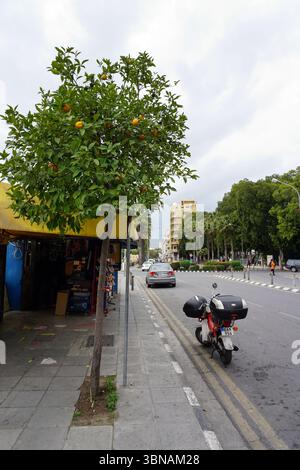 Nicosia (Lefkosia), Cipro, l'ultima capitale divisa del mondo, Una scena di strada. Un albero con foglie verdi vibranti e frutti arancioni maturi si erge sul marciapiede, aggiungendo un tocco di natura all'ambiente urbano. Un tendalino giallo è attaccato all'albero e un piccolo negozio o chiosco si trova sotto di esso. Una motocicletta rossa e bianca è parcheggiata sul lato destro, con un portabagagli nero attaccato sul retro. La strada è costeggiata da edifici e alcune auto sono parcheggiate lungo la strada. Il cielo e' coperto, proiettando una luce soffusa sul Foto Stock