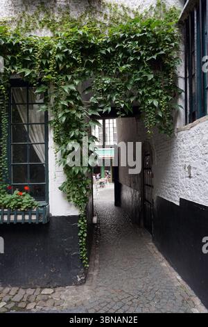 Antwerp, Second-largest Belgian city, located on the Scheldt River in Belgium., A narrow cobblestone alleyway flanked by white walls and black trim. A dark green door is visible on the right side of the alleyway, and a window with a dark green frame is on the left. The walls are adorned with lush green ivy that climbs up the walls, creating a natural canopy. A small, dark-colored door is visible on the right side of the alleyway. The cobblestone path extends into the distance, leading to a glimpse of a street and a glimpse of a building with a green awning. A small outdoor seating area with Foto Stock