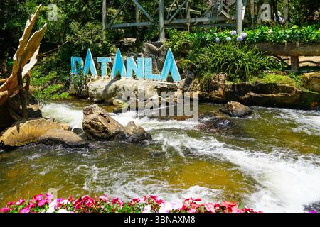 Dalat, Vietnam - 24 marzo 2025: La cascata di Datanla offre splendide viste sulla natura con acqua corrente, fiori vivaci e tranquilli dintorni della foresta Foto Stock