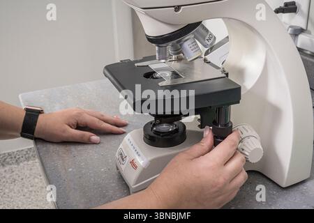 Microscopio in laboratorio medico con mani di tecnici, Pennsylvania, USA Foto Stock