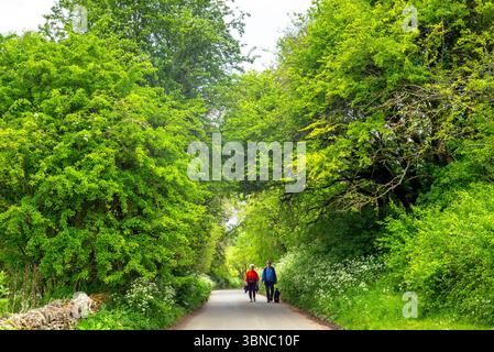 Coppia che passeggiano con un cane da compagnia lungo la tranquilla strada di campagna a Swinbrook, nelle Cotswolds, Oxfordshire, Regno Unito Foto Stock