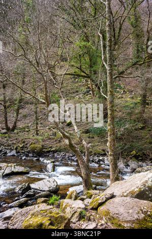 Rocce e massi e acque fluenti nell'East Lyn River a Lynmouth, Devon vicino a Watersmeet. Foto Stock