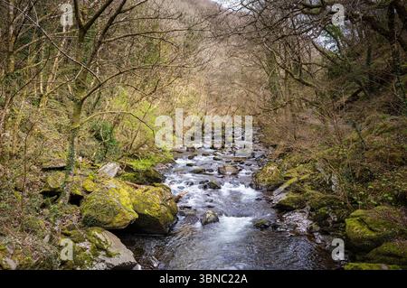 Rocce e massi e acque fluenti nell'East Lyn River a Lynmouth, Devon vicino a Watersmeet. Foto Stock