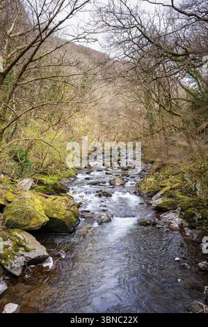 Rocce e massi e acque fluenti nell'East Lyn River a Lynmouth, Devon vicino a Watersmeet. Foto Stock