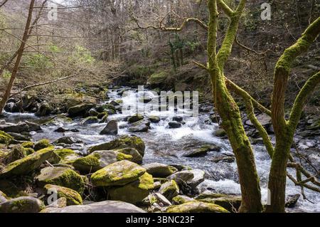 Rocce e massi e acque fluenti nell'East Lyn River a Lynmouth, Devon vicino a Watersmeet. Foto Stock