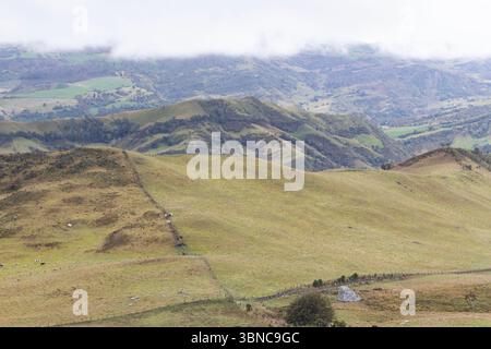 Splendida vista aerea della campagna delle montagne andine colombiane con nebbia e bestiame Foto Stock