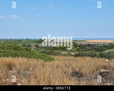 Erba dorata e cespugli verdi si estendono su tutta la terra con una vista lontana del mare sotto un cielo azzurro Foto Stock