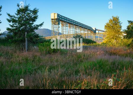 L'elevatore del grano al Viterra Cascadia Terminal visto dal New Brighton Park di Vancouver, British Columbia. L'Iron Workers Memorial Bridge è alle spalle. Foto Stock