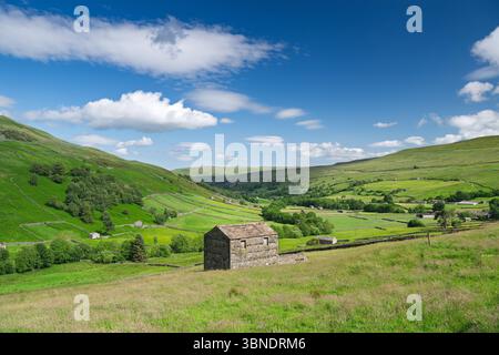 Tradizionale fienile di pietra situato in un prato sopra Thwaite, Yorkshire Dales National Park, Regno Unito. Foto Stock