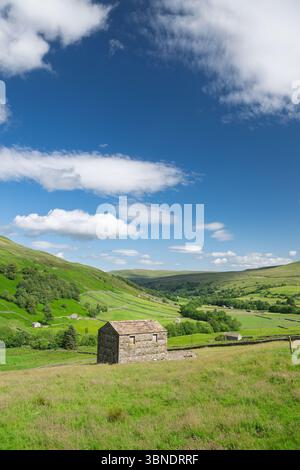 Tradizionale fienile di pietra situato in un prato sopra Thwaite, Yorkshire Dales National Park, Regno Unito. Foto Stock