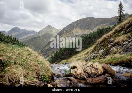 Piccolo ruscello alpino che scorre attraverso pendii erbosi con cime montuose nelle Alpi austriache Foto Stock