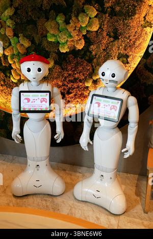 PEPPER SALOR, L'UNICA CAFFETTERIA A TOKYO Foto Stock