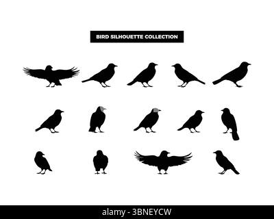 Sagome vettoriali di alta qualità in varie posizioni, volando, riposando e arroccato. Ideale per loghi, t-shirt, poster e design a tema naturale Illustrazione Vettoriale