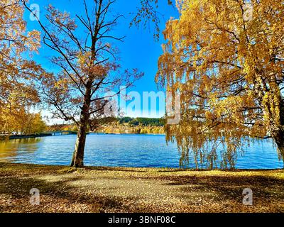 Una splendida scena autunnale caratterizzata da un tranquillo lago circondato da alberi colorati e vegetazione. Foto Stock