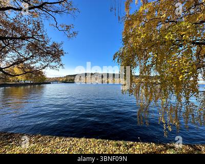 Una splendida scena autunnale caratterizzata da un tranquillo lago circondato da alberi colorati e vegetazione. Foto Stock