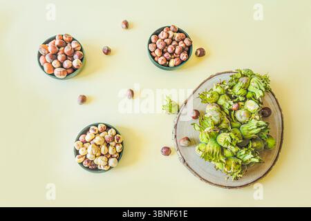 Nocciole in diverse fasi di maturazione esposte in ciotole e su un asse di legno. Composizione minimalista su sfondo giallo tenue, Represen Foto Stock